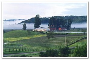 Russian_river_valley