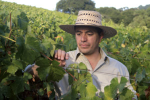 rolando looking at grapes standing