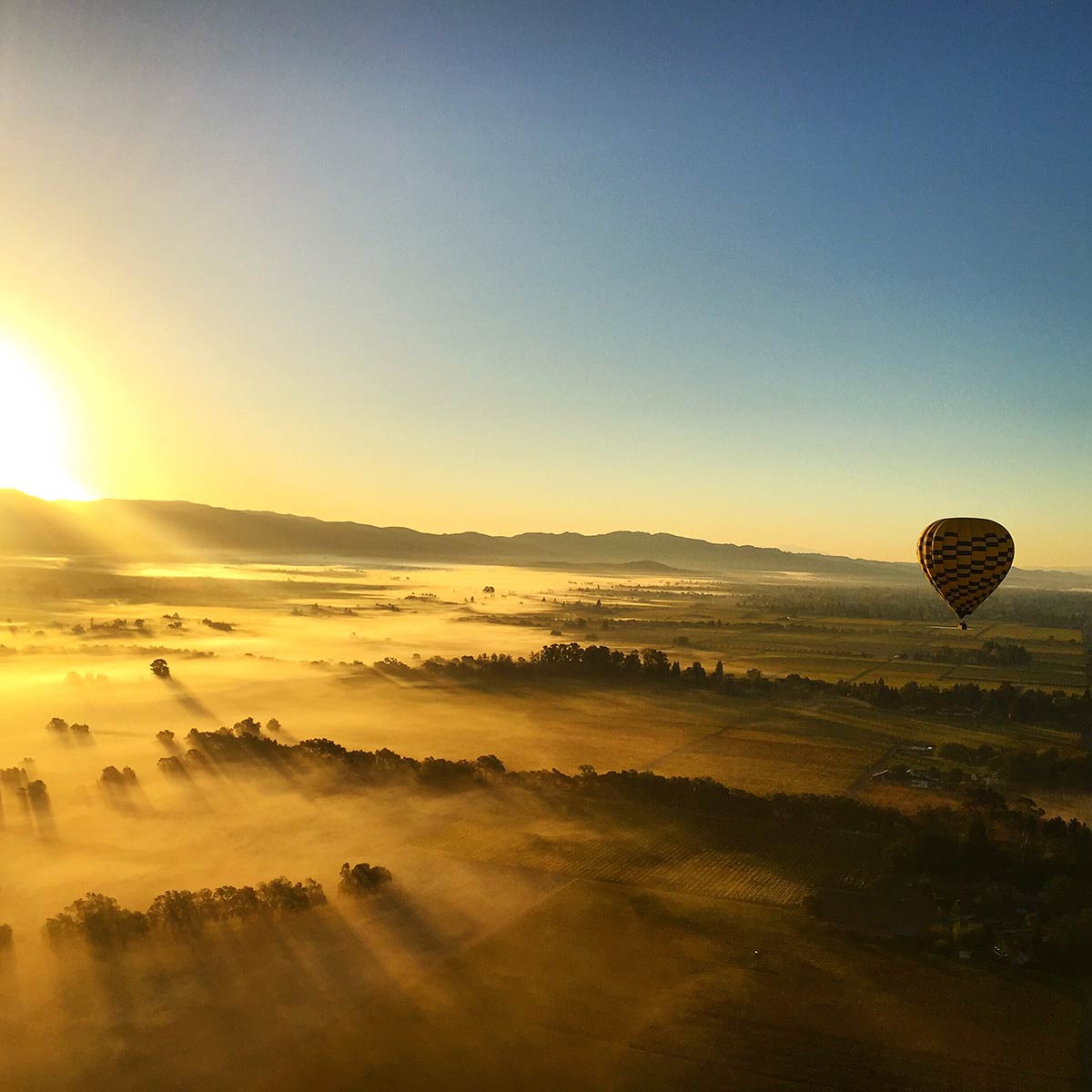 Hot Air Balloon Over Napa