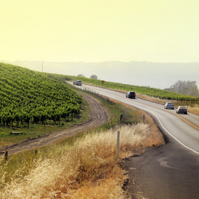 driving in wine country